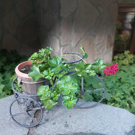 Guest House Planinski Zdravets Bansko Zewnętrze zdjęcie