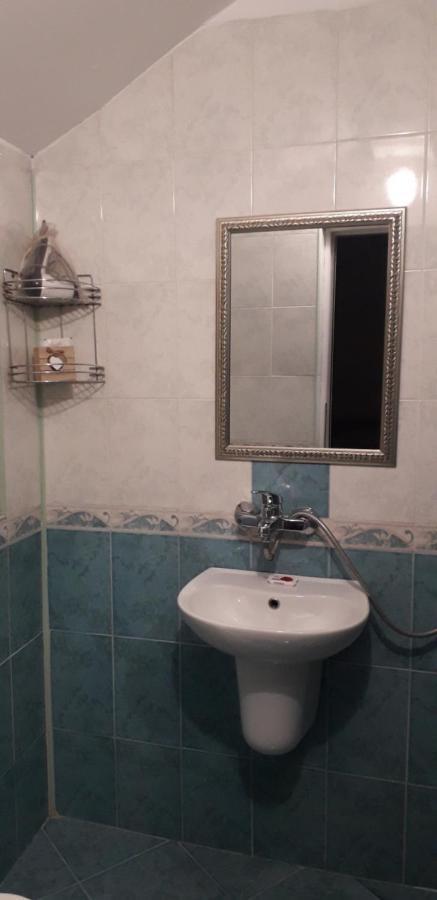 Guest house Planinski Zdravets