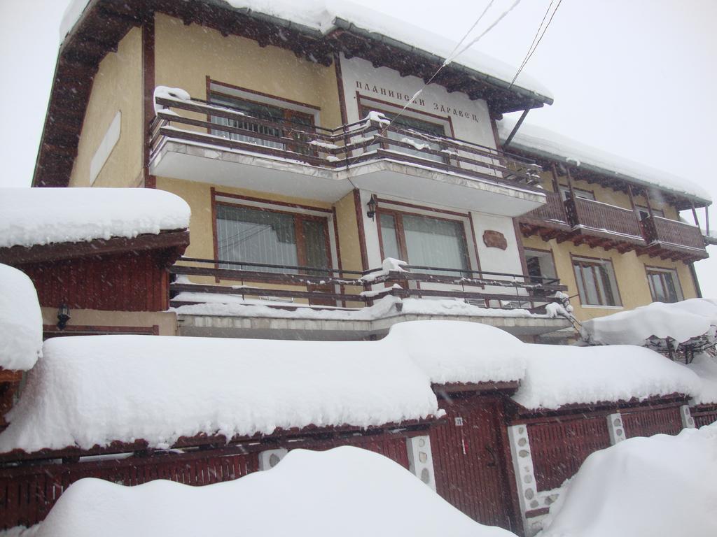 Planinski Zdravets Guest house 3*