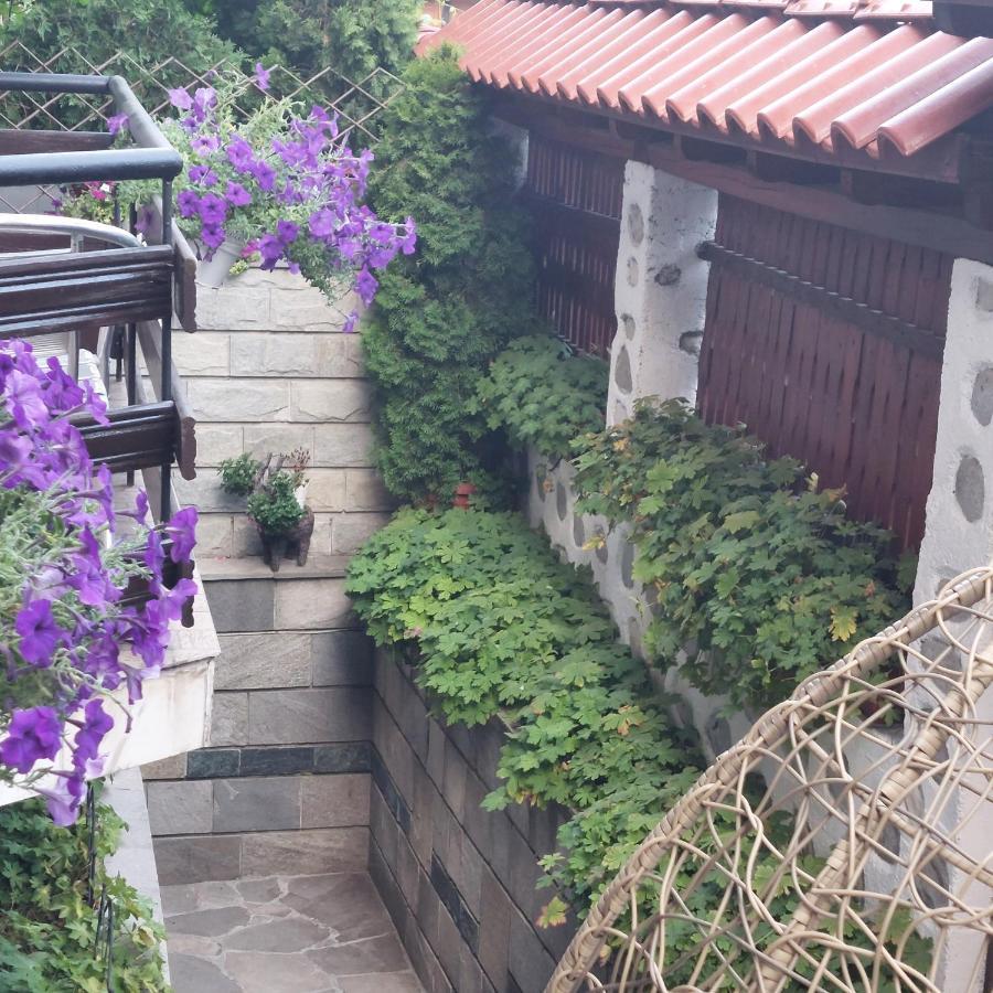 Guest house Planinski Zdravets 3*