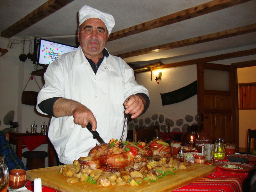 Pensjonat Planinski Zdravets