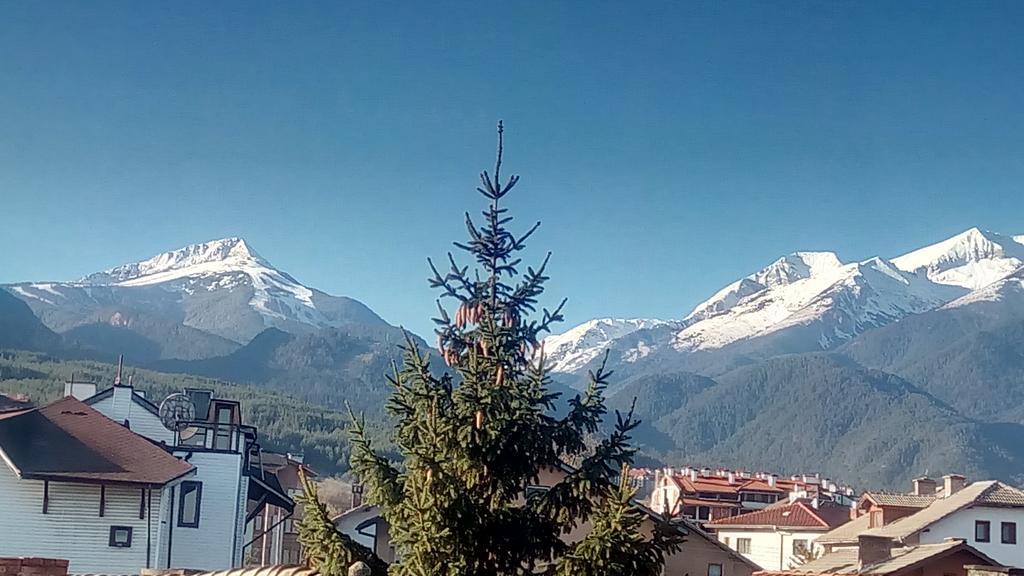 Pensiune Planinski Zdravets Bansko