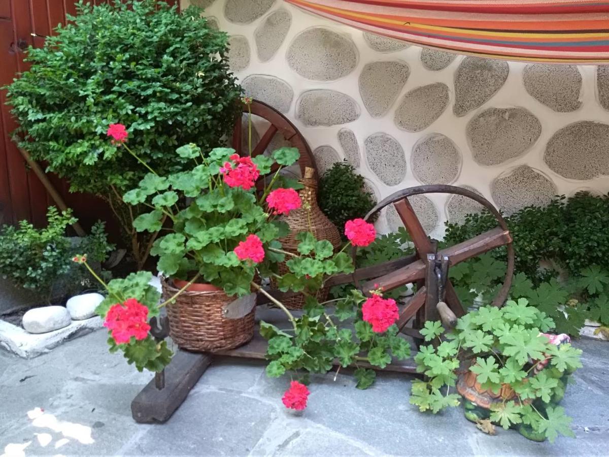 Guest house Planinski Zdravets Bansko